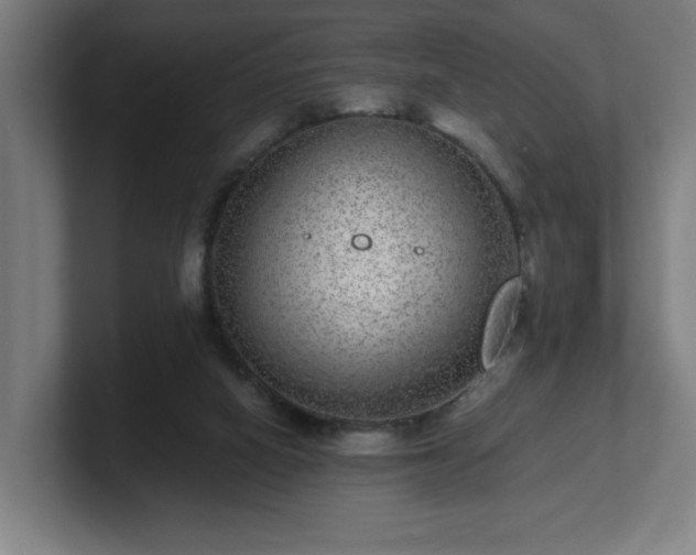 X0000101710066200807171544