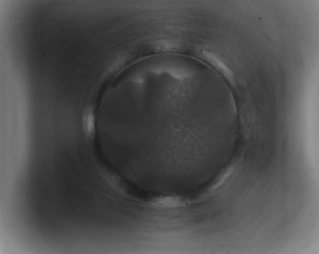 X0000101710067200807171544