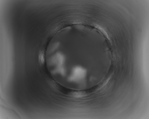 X0000101710069200807171544