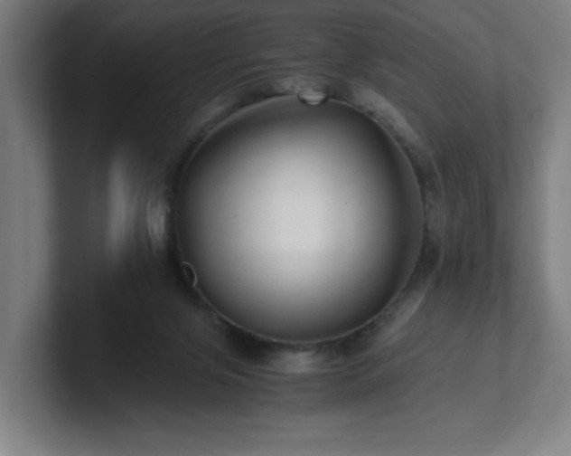 X0000101710071200807171545