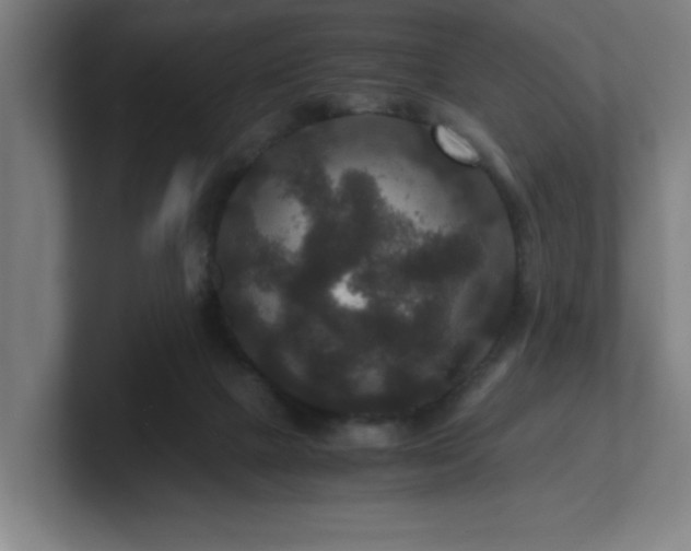 X0000101710073200807171545