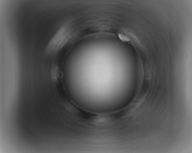 X0000101710077200807171545