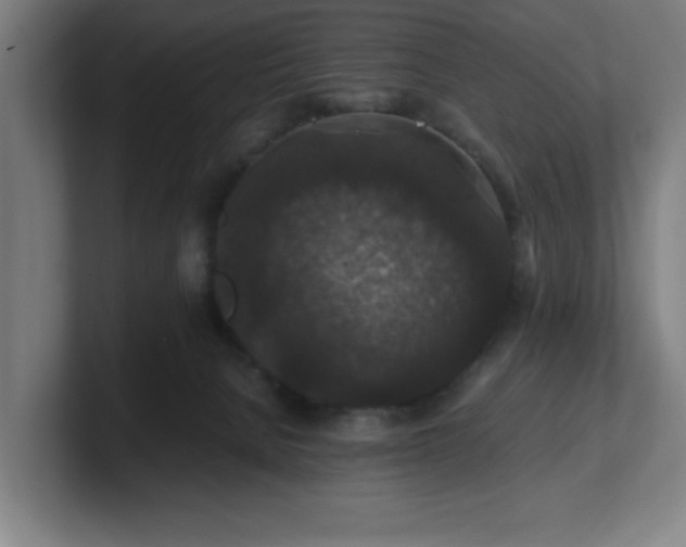 X0000101710080200807171545