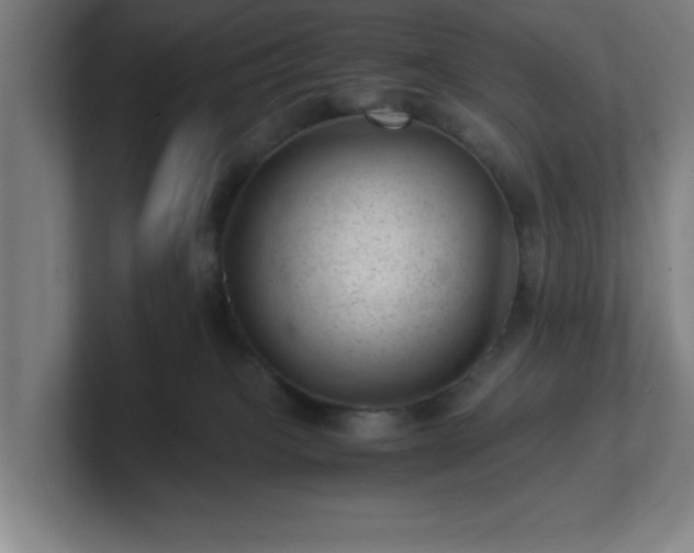 X0000101710085200807171545