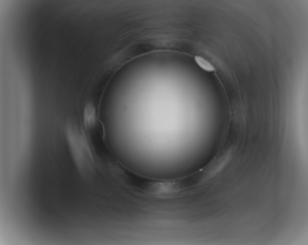 X0000101710089200807171545