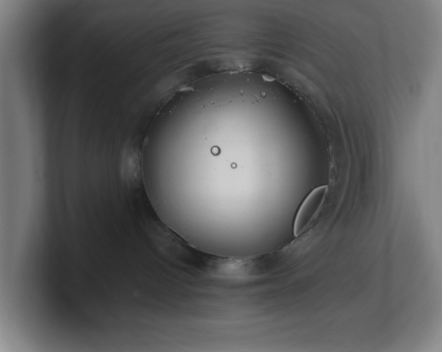 X0000101710096200807171545