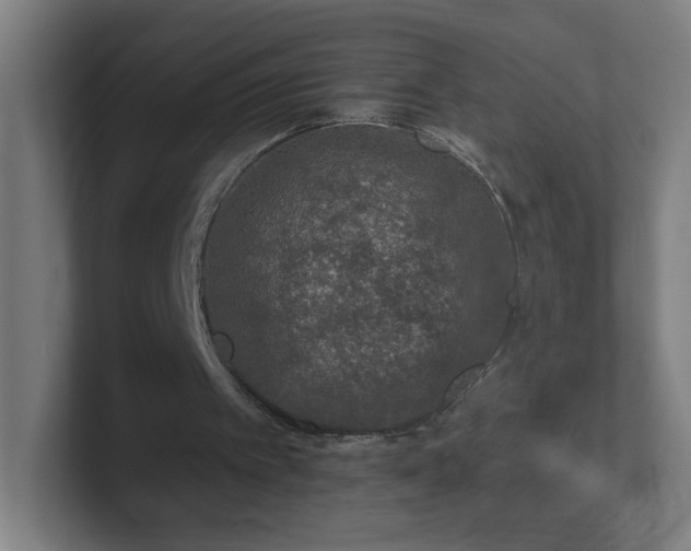 X0000101710097200807171544