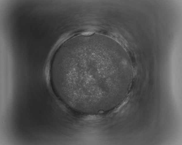 X0000101710101200807171544