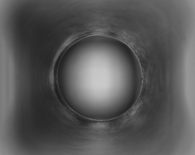 X0000101710102200807171544