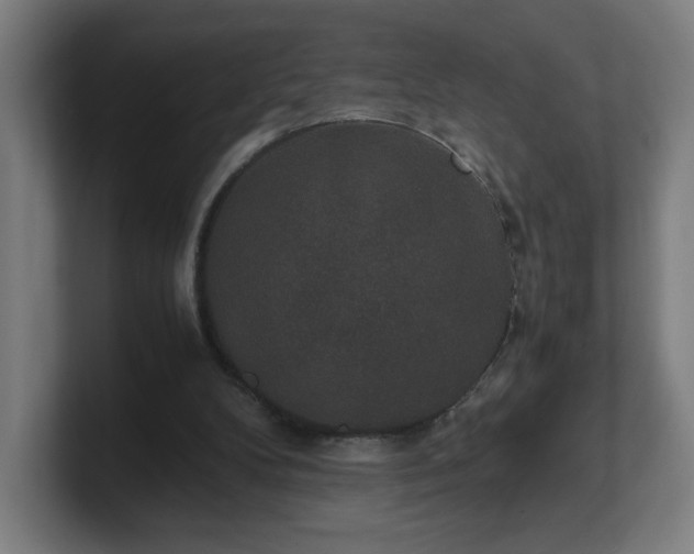 X0000101710104200807171544