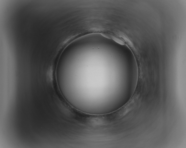 X0000101710106200807171544