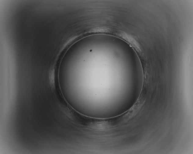 X0000101710108200807171544