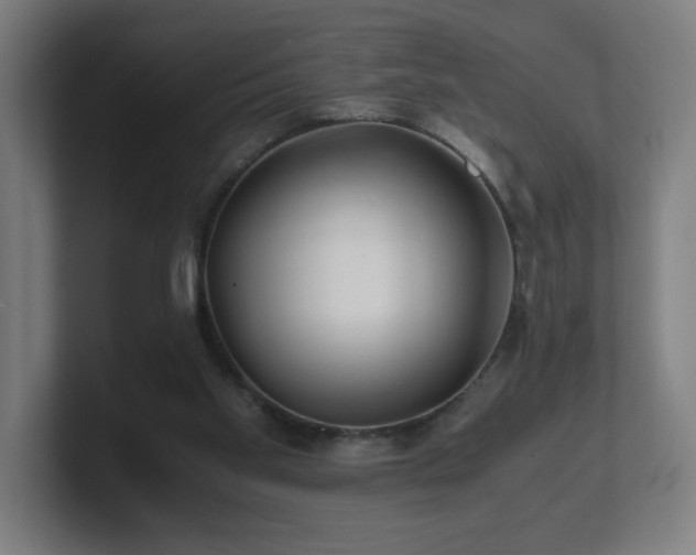 X0000101710109200807171544