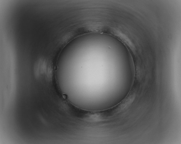 X0000101710113200807171544