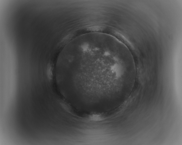 X0000101710114200807171544