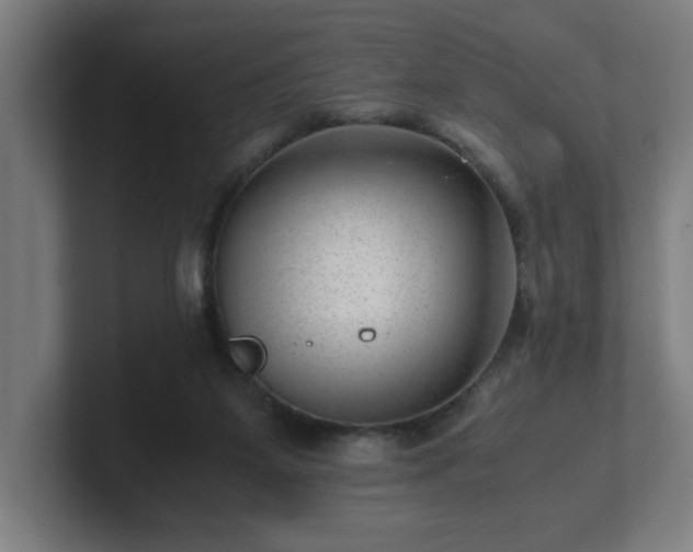 X0000101710115200807171544