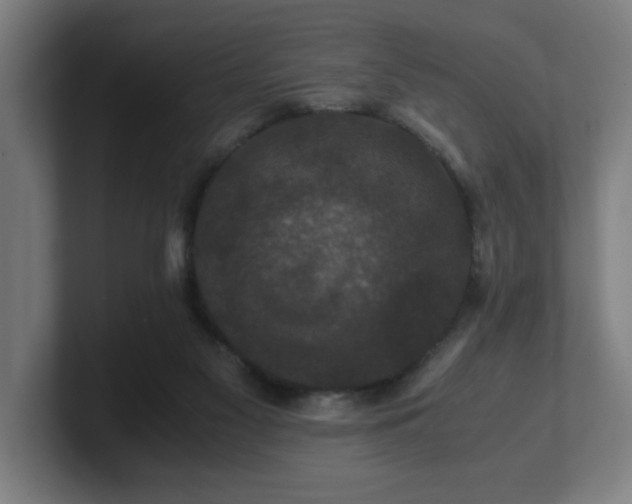 X0000101710117200807171544