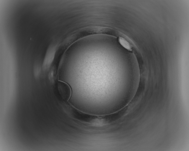 X0000101710119200807171544