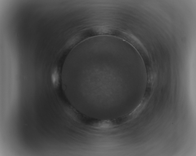 X0000101710124200807171544