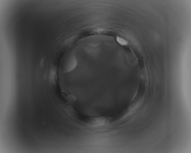 X0000101710127200807171544