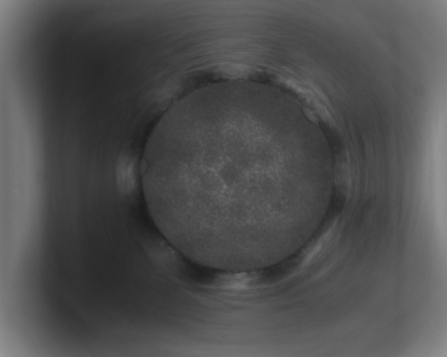 X0000101710131200807171544