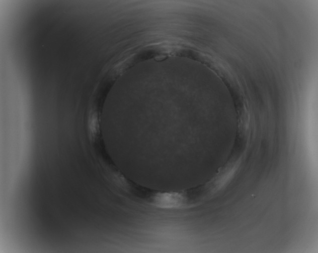 X0000101710137200807171544