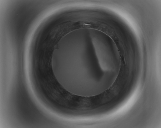 X0000101710143200807171543