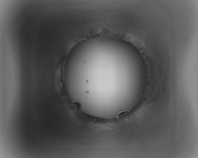 X0000101710144200807171543