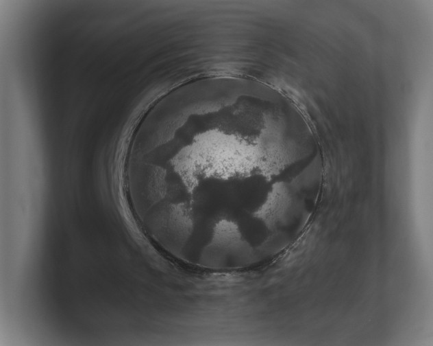 X0000101710145200807171543