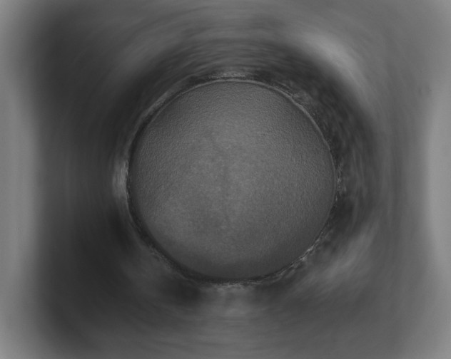 X0000101710146200807171543