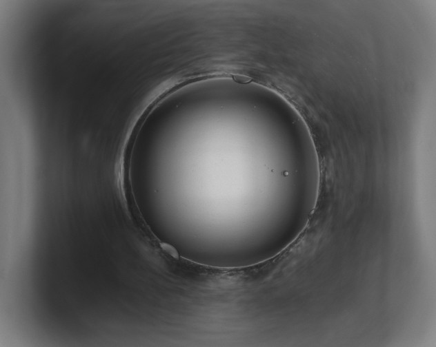 X0000101710148200807171543