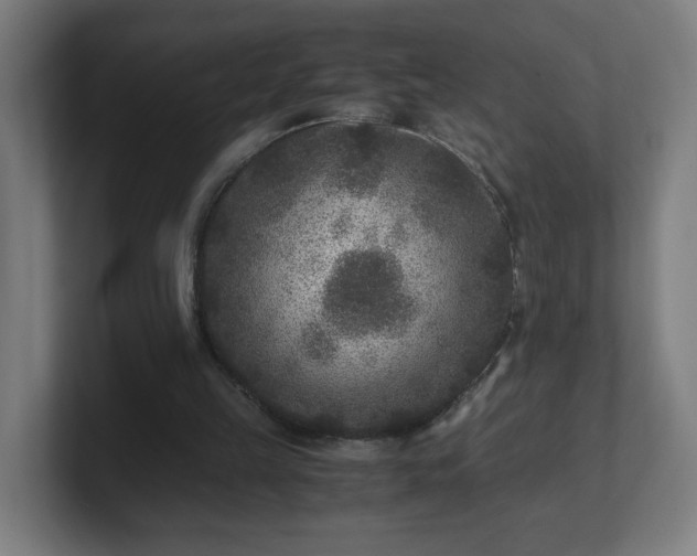 X0000101710149200807171543