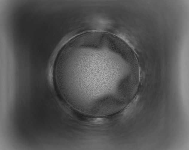 X0000101710151200807171543