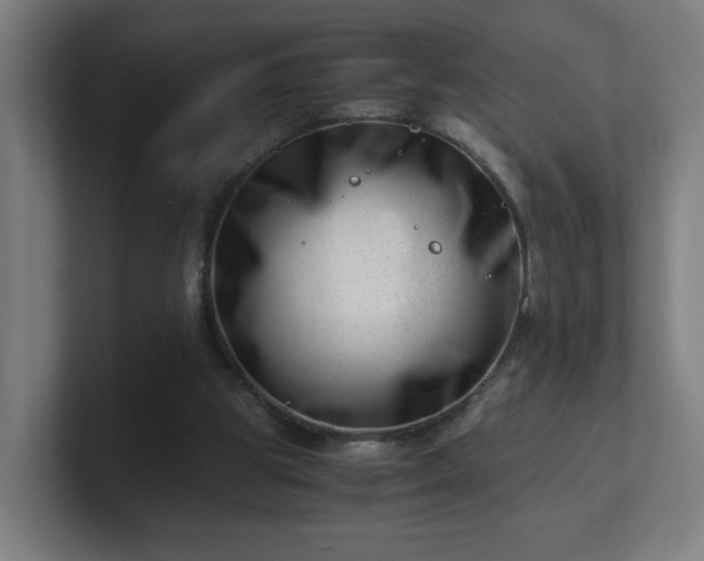 X0000101710153200807171543