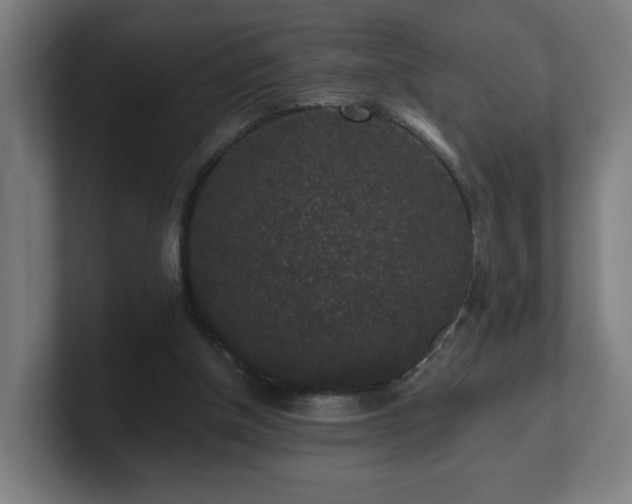 X0000101710154200807171543