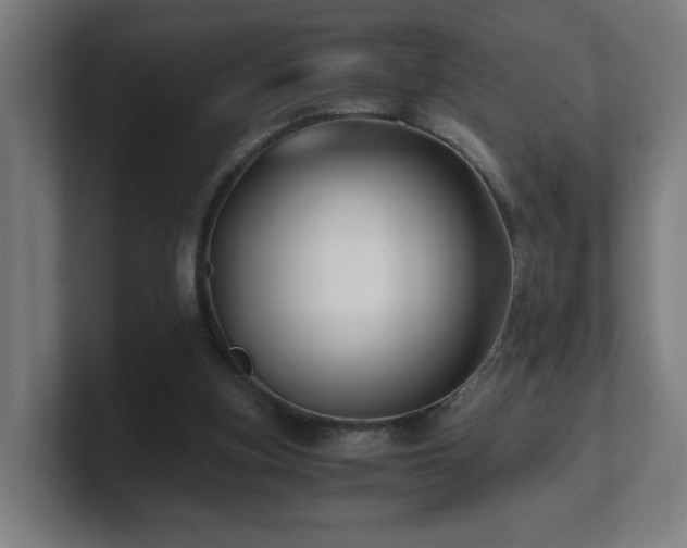 X0000101710155200807171543