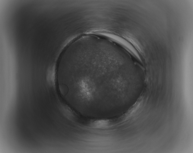 X0000101710156200807171543