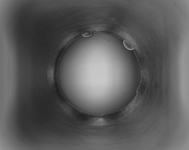 X0000101710159200807171543