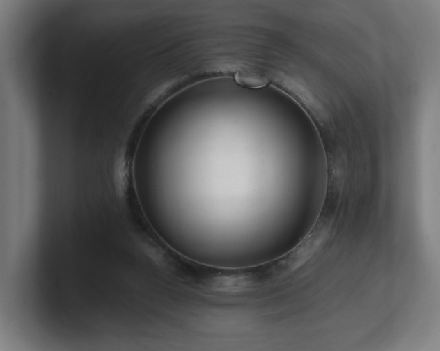 X0000101710160200807171543