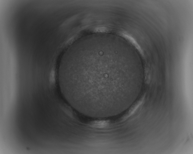 X0000101710161200807171543