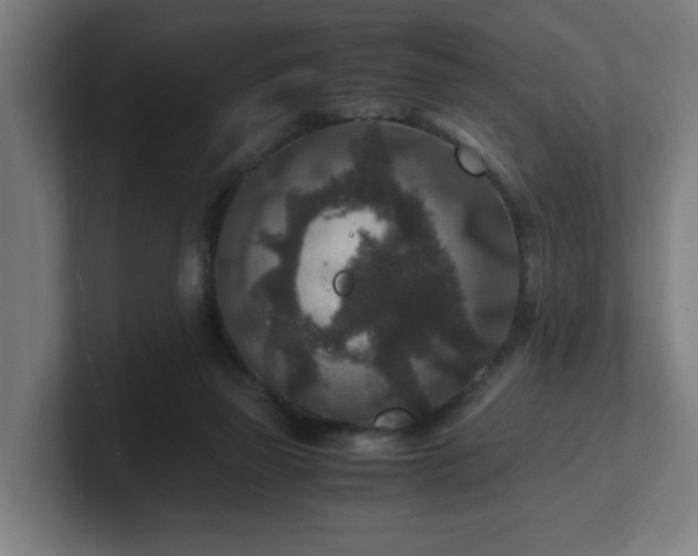 X0000101710165200807171543