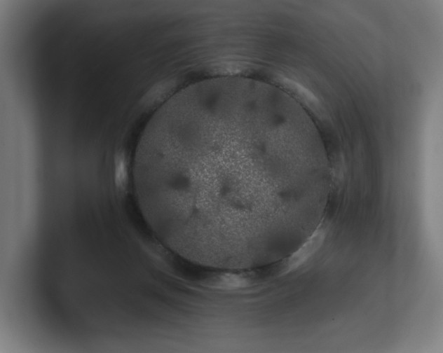 X0000101710166200807171543