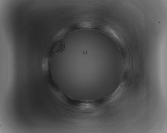 X0000101710167200807171543