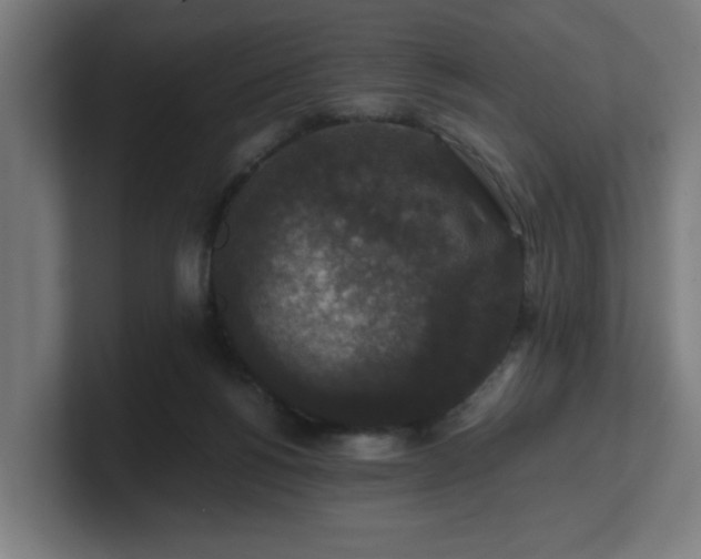 X0000101710168200807171543