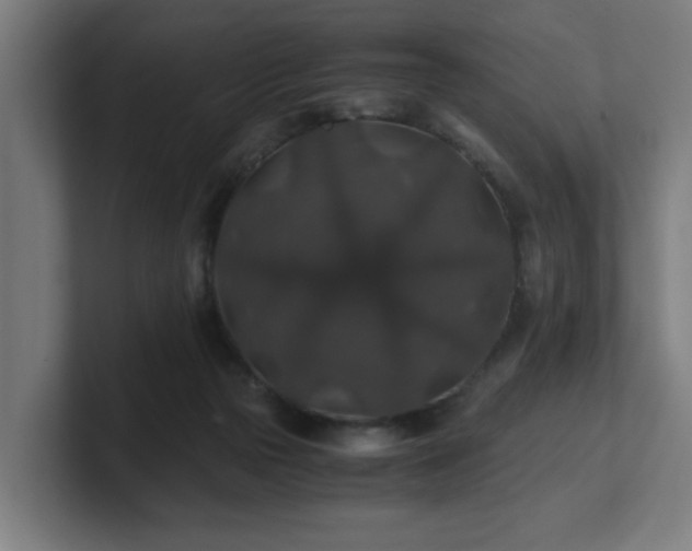 X0000101710169200807171543