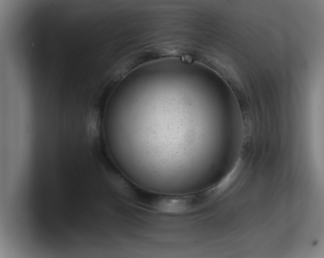 X0000101710174200807171543