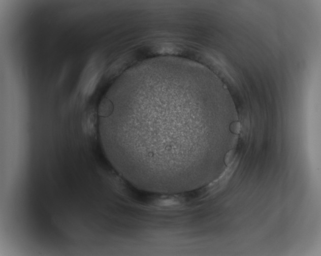 X0000101710175200807171543