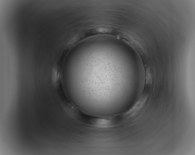 X0000101710176200807171543