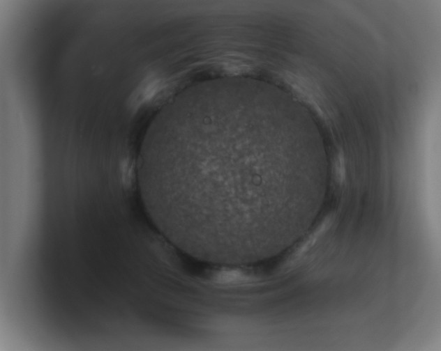 X0000101710177200807171543