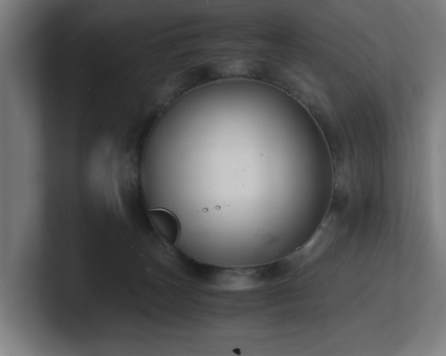 X0000101710179200807171543